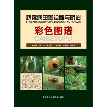 蔬菜圖譜 蔬菜病蟲害診斷與防治彩色圖譜 董偉 圖譜近2韆幅、韆餘種病蟲 pdf epub mobi 電子書 下載