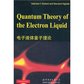 電子液體量子理論 pdf epub mobi 電子書 下載