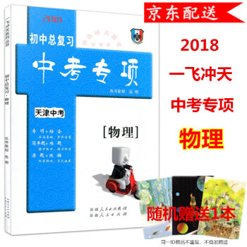 2018版 一飞冲天 初中总复习 天津中考专项 物理 天津版 pdf epub mobi 电子书 下载