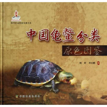 中國龜鱉分類原色圖鑒 周婷李丕鵬 科技 書籍 pdf epub mobi 電子書 下載