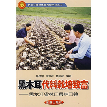 黑木耳代料栽培致富：黑龙江省林口县林口镇 pdf epub mobi 电子书 下载