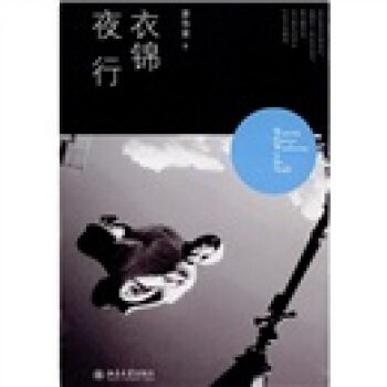 衣锦夜行 pdf epub mobi 电子书 下载