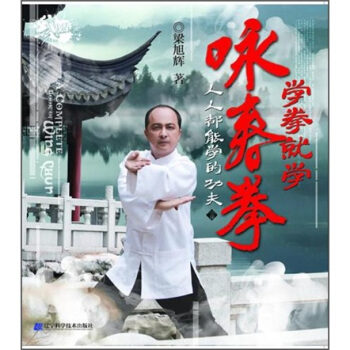 学拳就学咏春拳 pdf epub mobi 下载