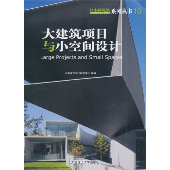 大建筑项目与小空间设计 pdf epub mobi 电子书 下载
