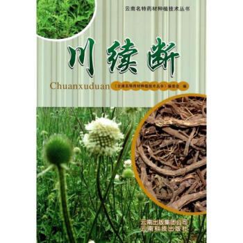 川續斷/雲南名特藥材種植技術叢書