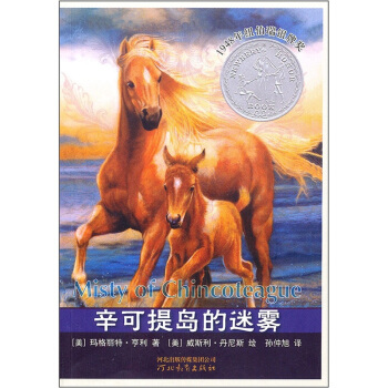 辛可提岛的迷雾 [7-10岁] pdf epub mobi 电子书 下载