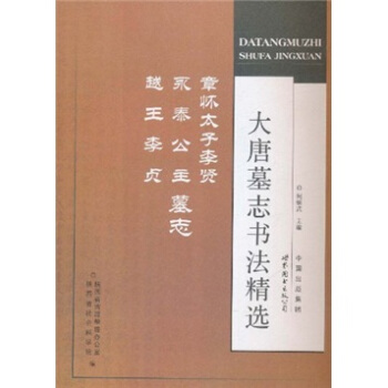 大唐墓志书法精选：章怀太子李贤、永泰公主、越王李贞墓志 pdf epub mobi 电子书 下载