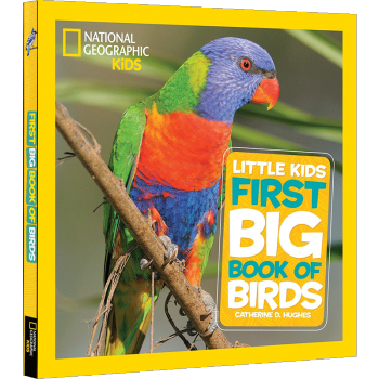 Little Kids First Big Book of Birds 美国国家地理 英文原版 pdf epub mobi 电子书 下载