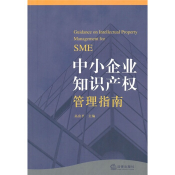 中小企业知识产权管理指南 [Guidance on Intellectual Property Management for SME] pdf epub mobi 电子书 下载