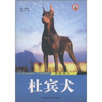 世界名犬系列:贵族骑士·杜宾犬