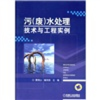 污（废）水处理技术与工程实例 pdf epub mobi 电子书 下载