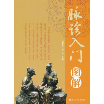 脉诊入门图解 pdf epub mobi 电子书 下载