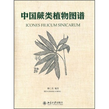 中国蕨类植物图谱 pdf epub mobi 电子书 下载