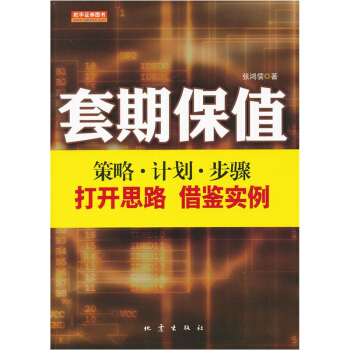 套期保值：策略·计划·步骤 pdf epub mobi 电子书 下载