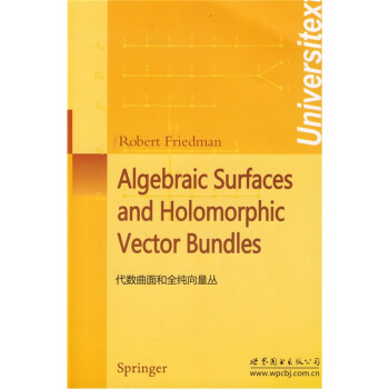 代数曲面和全纯向量丛 [Algebraic Surfaces and Holomorphic Vector Bundle] pdf epub mobi 电子书 下载