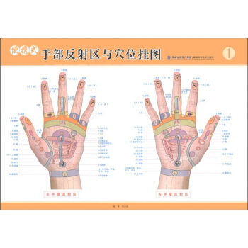 便携式手部反射区与穴位挂图（套装共4张） pdf epub mobi 电子书 下载