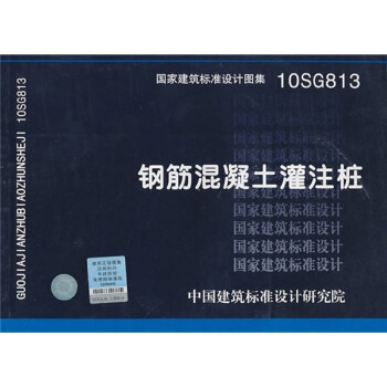 10SG813 鋼筋混凝土灌注樁 pdf epub mobi 電子書 下載