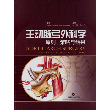 主动脉弓外科学：原则、策略与结果 pdf epub mobi 电子书 下载