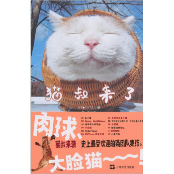 貓叔來瞭 pdf epub mobi 電子書 下載