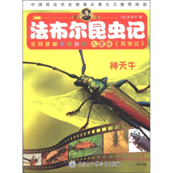 法布爾昆蟲記：神天牛（兒童版） [7-10歲] pdf epub mobi 電子書 下載