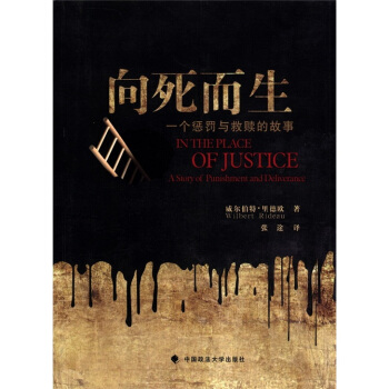 向死而生：一个惩罚与救赎的故事 pdf epub mobi 电子书 下载