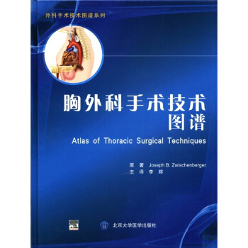 外科手術技術圖譜係列：胸外科手術技術圖譜 [Atlas of Thoracic Surgical Techniques] pdf epub mobi 電子書 下載