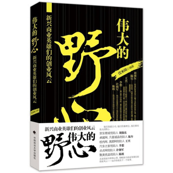 伟大的野心：新兴商业英雄们的创业风云 pdf epub mobi 电子书 下载