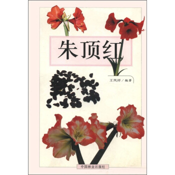 朱顶红 pdf epub mobi 电子书 下载