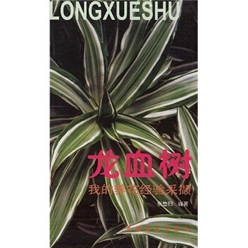 我的养花经验采撷:龙血树