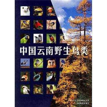 中国云南野生鸟类 pdf epub mobi 电子书 下载