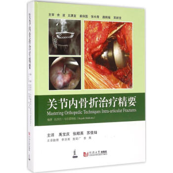 关节内骨折治疗精要 pdf epub mobi 电子书 下载