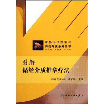 世界手法医学与传统疗法系列丛书·图解循经介质推拿疗法 pdf epub mobi 电子书 下载