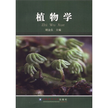 植物学 pdf epub mobi 电子书 下载