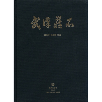 武漢藏石 pdf epub mobi 電子書 下載