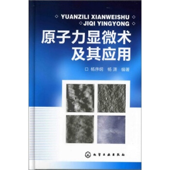 原子力显微术及其应用 pdf epub mobi 电子书 下载