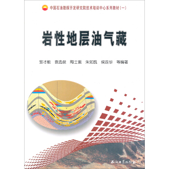 岩性地层油气藏（第2版） pdf epub mobi 电子书 下载