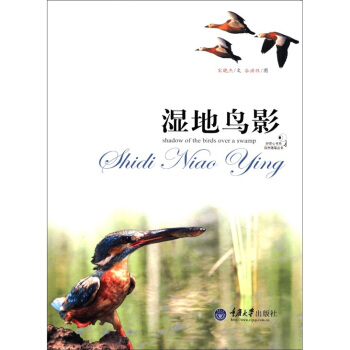 好奇心書係：濕地鳥影 pdf epub mobi 電子書 下載