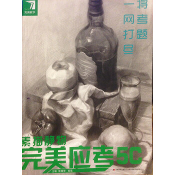 2016完美教学 完美应考5C素描静物 侯猛杨慎修联考书正版0.85 pdf epub mobi 电子书 下载