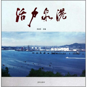 活力泉港 pdf epub mobi 电子书 下载