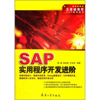 SAP实用程序开发进阶 pdf epub mobi 电子书 下载
