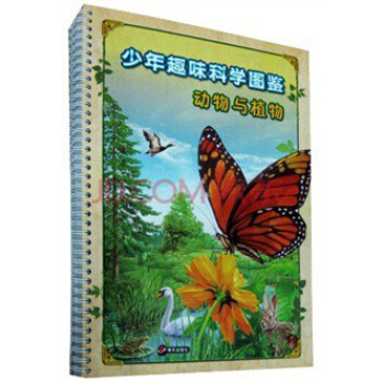 少年趣味科學圖鑒（套裝4冊） [11-14歲] pdf epub mobi 電子書 下載