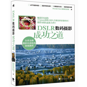 DSLR數碼攝影成功之道 pdf epub mobi 電子書 下載
