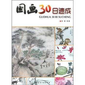 国画30日速成 pdf epub mobi 电子书 下载