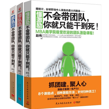 不会带团队，你就只能干到死(抓执行+带队伍+懂激励)共3册 赵伟 企业文化管理高效团队激励 pdf epub mobi 电子书 下载