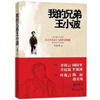 我的兄弟王小波 pdf epub mobi 電子書 下載