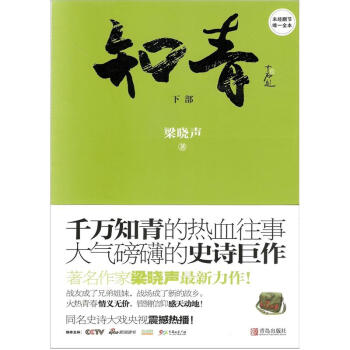 知青(下部)