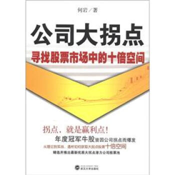 公司大拐點：尋找股票市場中的十倍空間 pdf epub mobi 電子書 下載