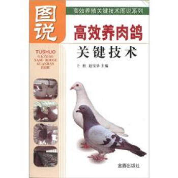 高效養殖關鍵技術圖說係列：圖說高效養肉鴿關鍵技術 pdf epub mobi 電子書 下載