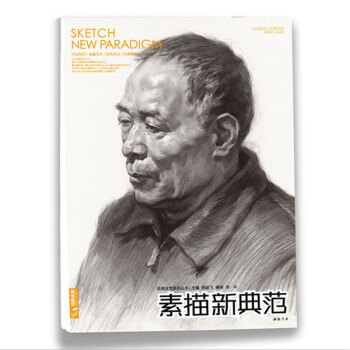 全新正版经典全集素描新典范杨建飞陈平主编素描头像精选范画照片结构体块实用联考临摹临本教材书