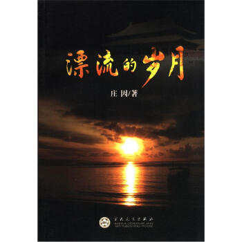 漂流的岁月 pdf epub mobi 电子书 下载